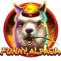 Funny Alpaca