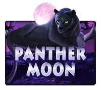 Panther Moon