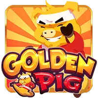 Golden Pig